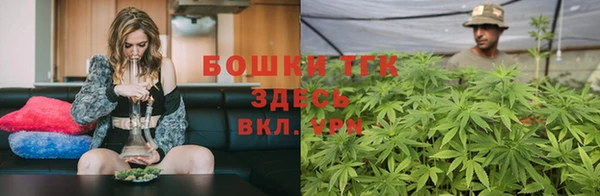 гашик Арсеньев