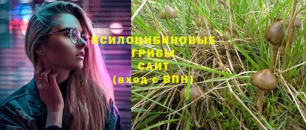 гашик Арсеньев