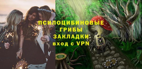 сатива Аркадак