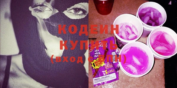 гашик Арсеньев