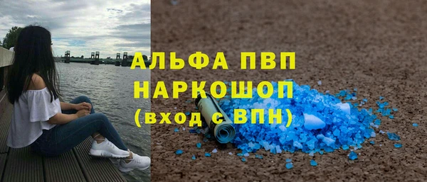 гашик Арсеньев