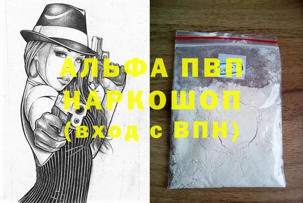 гашик Арсеньев