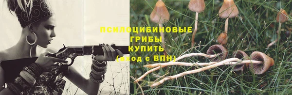 сатива Аркадак