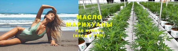 сатива Аркадак