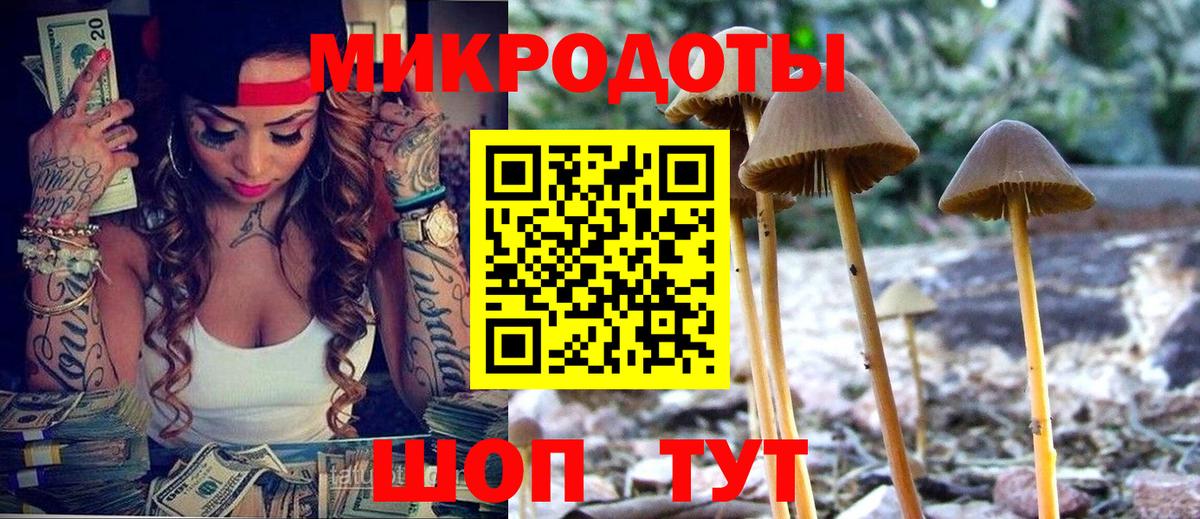Псилоцибиновые грибы GOLDEN TEACHER  Вход с VPN  купить закладку  Галлюциногенные грибы Cubensis  Полысаево 